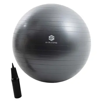 65cm תרגיל איזון הכדור w/ משאבה, ללא פליטת כדור יציבות