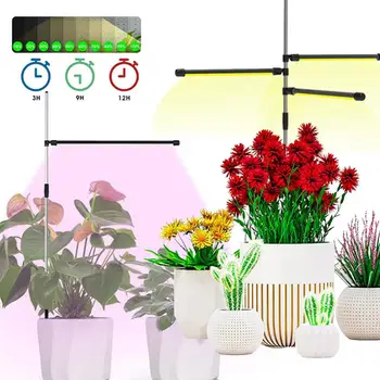 LED לגדול אור USB פיטו מנורת ספקטרום מלא הצמח גדל המנורה 1/3 ראשי עם 3/9/12H טימר לצמחים מקורה פרח אוהל אור